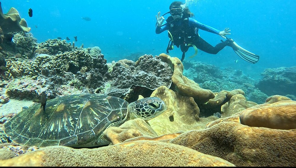 Scuba Diving & Wreck Exploration